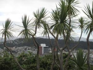 View from Mount Wellington